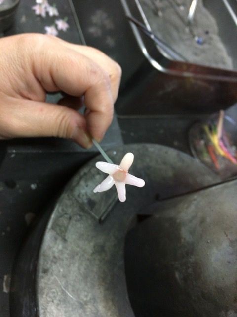 ガラス細工 桜の花の作り方 ガラス工房 邦