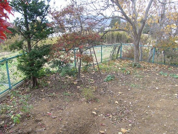 中古住宅の外構 庭のリフォーム ほぼガーデンファクトリーしゃちょうのブログ