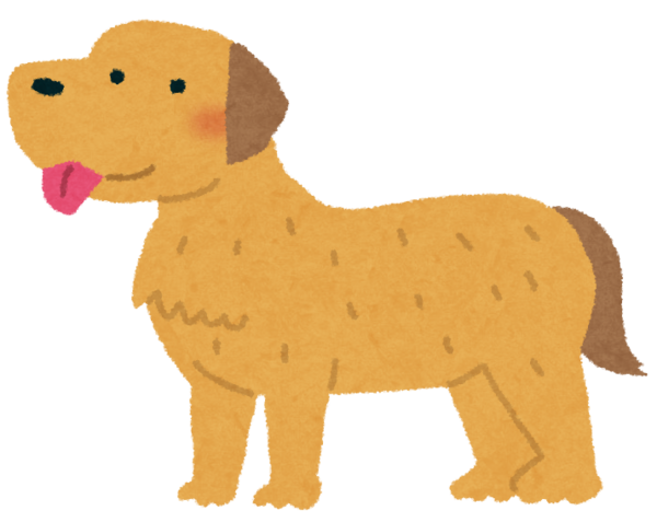 家大きい独身だけど大型犬買おうと思うんだが ガールズvipまとめ