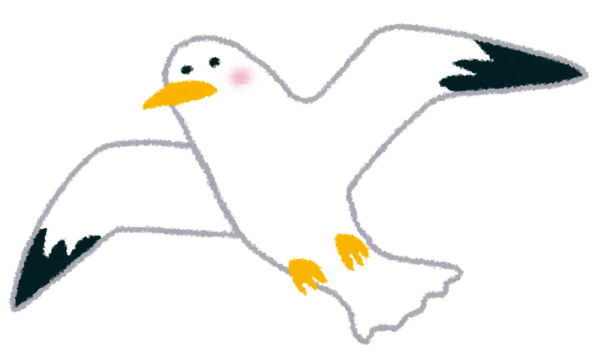 ワイ あの休んでるカモメめっちゃいい感じやな 写真撮ったろ ガールズvipまとめ