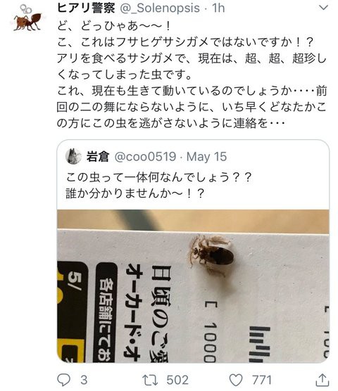 この虫って Twitter民さん とんでもなく珍しい虫を発見してしまう 興味しんしん