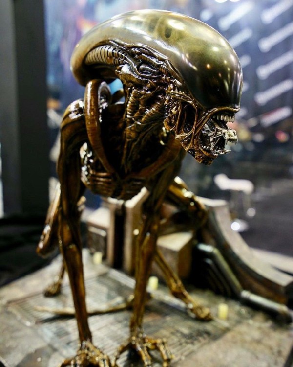 Big Chap Alien : fukuro