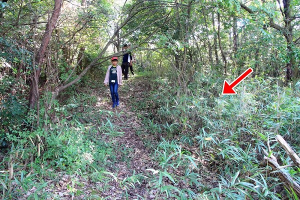吉備の弥生墳丘墓巡り⑤ ～矢藤治山（やとうじやま）古墳～ : 御領の