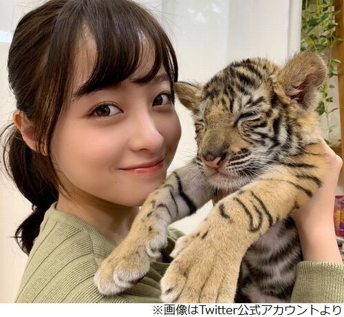 橋本環奈 トラの赤ちゃんの鳴き声に なんだそれ かわいいな 気になる芸能ニュース