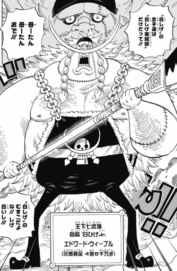 ジャンプ45号 ワンピース 第802話 ゾウ ジャンプ速報