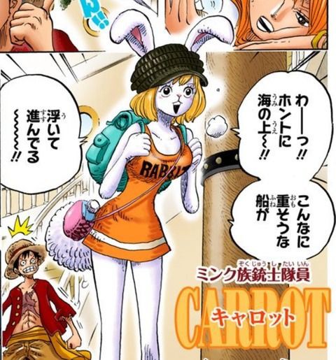 ワンピースで一番美人な女キャラ ついに決定するｗｗｗｗｗ ジャンプ速報