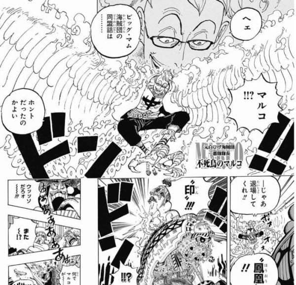 ワンピースで次に仲間になりそうなキャラといえば ジャンプ速報