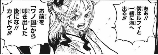 ワンピース 麦わら海賊団の最後の仲間 確定する ジャンプ速報