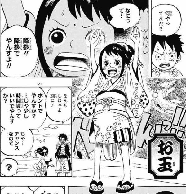 ワンピース最新91巻の表紙ｗｗｗｗｗｗ ジャンプ速報