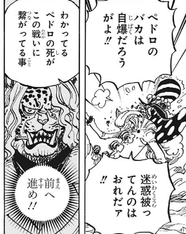 ジャンプ50号感想 ワンピース 第995話 くの一の誓い ジャンプ速報 ジャンプ50号感想 ワンピース 第995話 くの一の誓い ジャンプ速報