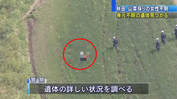 驚愕 とんでもない激しい損傷の遺体が発見される 秋田県鹿角市でクマ襲撃事件再び 画像あり 激ヤバ 速報