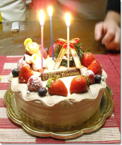 L Olioli ロリオリ の３０個限定生チョコクリスマスケーキ ガラパゴス日記