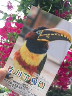 掛川花鳥園へお出かけ 不登校365日24時間 フリースクール元気学園 ブログ