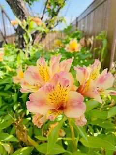 子どもの勉強用にお薦めタイマー時計 不登校365日24時間 フリースクール元気学園 ブログ