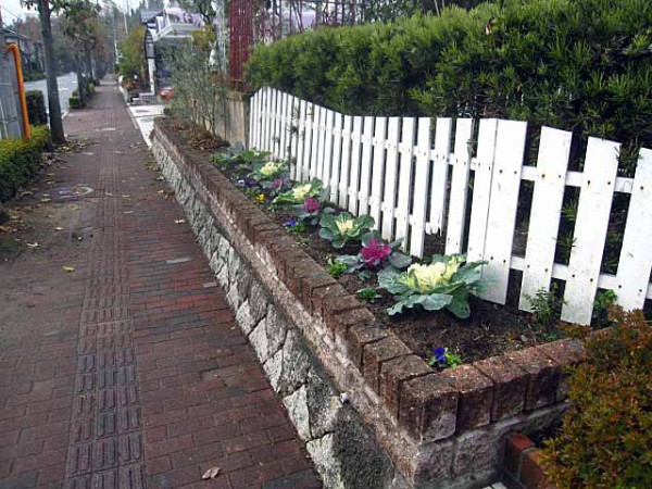 12月17日 道路側の小さな花壇にハボタンとビオラを植えました 付録 小さな花壇の1年間 晴耕雨読 僕は頑張らない