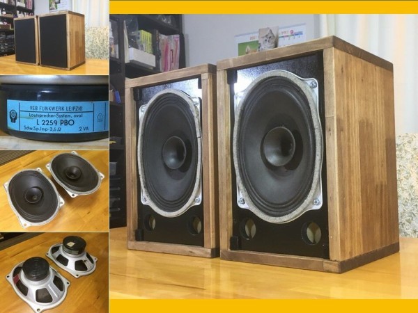 東独 RFTビンテージフルレンジL2259 PBOシステム 高速高音質 ペア 東独