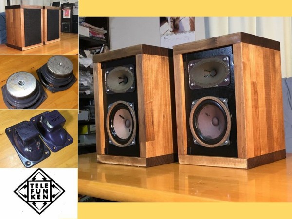 Telefunken 強力2Way システム L20ユニットシステム ペア！凄い