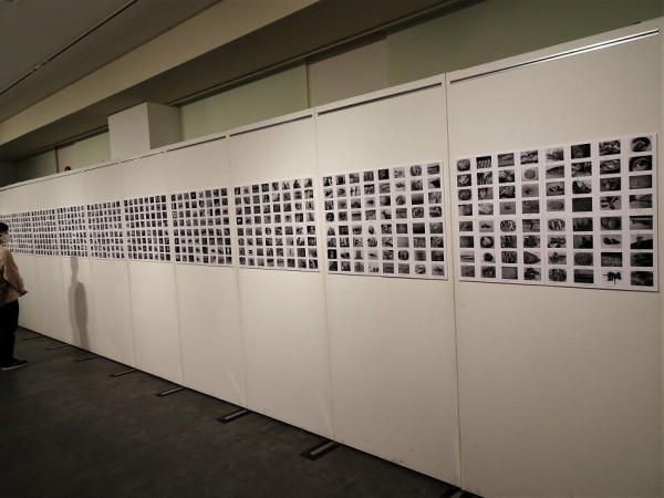 瀬戸内市立美術館で 野田弘志展 : 月吠だより