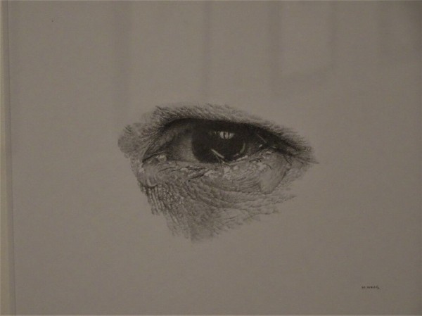 野田弘志　府中刑務所　1985年　鉛筆画 野田弘志 府中刑務所 1985年 鉛筆画