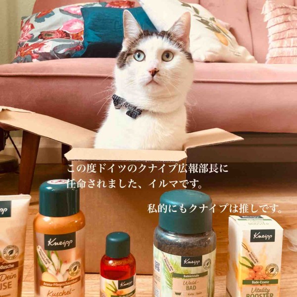 割引購入 クナイプ kneipp ISANA バスソルト2種セッ