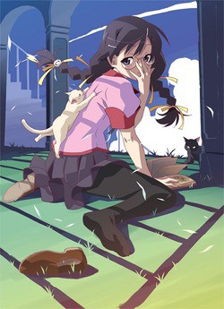 アニメ 猫物語 黒 大晦日放送直前記念 ニコニコ動画で 化物語 つばさキャット 本編 キャラコメンタリー版を2夜連続配信 Getchu Com げっちゅブログ