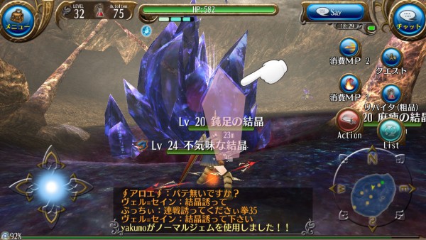 トーラム 不気味な結晶 部位破壊の道よ Yakumo