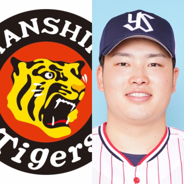 悲報 阪神広報 ヤクルト村上を 無視 してしまうwewewewywywy Giants Pride 巨人なんjまとめ