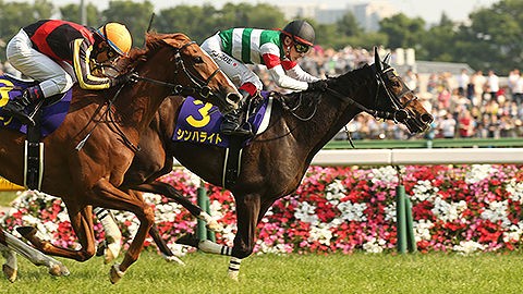 3歳戦結果 5 21 22 シンハライト G1優駿牝馬制覇 など Pog C B A Club Be Ambitious