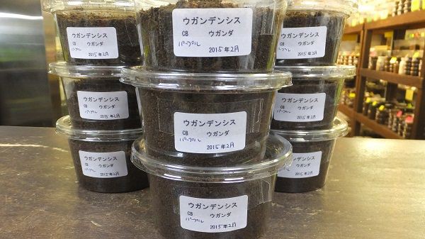 ウガンダ ウガンデンシス パープル、ブルー 3頭 ウガンデンシス