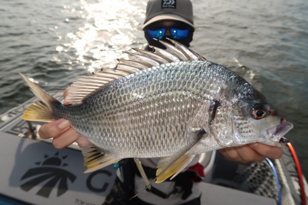 8月17日釣果情報！！ : TOKYOBAY FISHING GUIDE SERVICE Glory