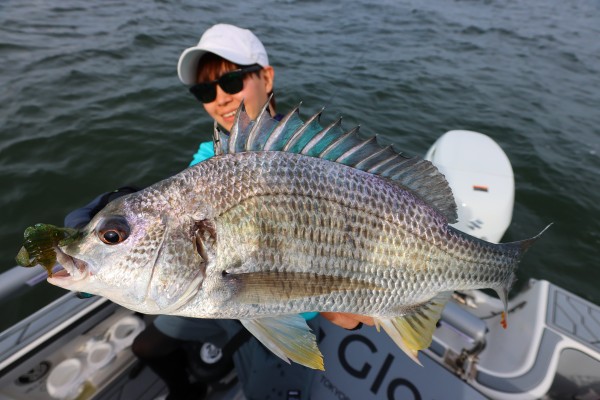 6月17日釣果情報！！ : TOKYOBAY FISHING GUIDE SERVICE Glory