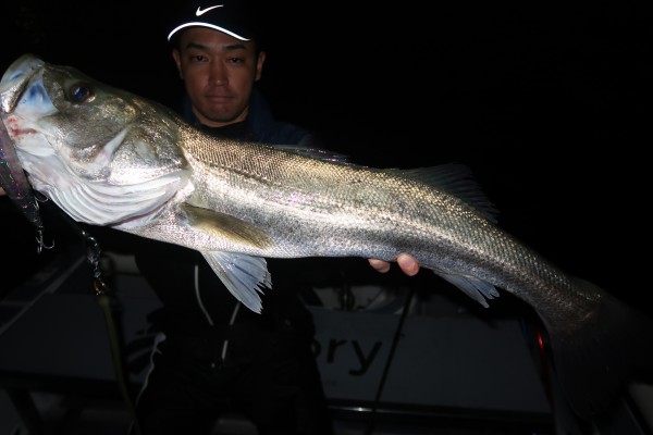 11月16日〜17日釣果情報！！ : TOKYOBAY FISHING GUIDE SERVICE Glory(グローリーフィッシング)