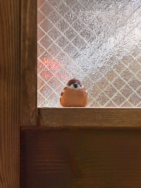 スズメノツノ 国分寺 つ な関西人の観察日記