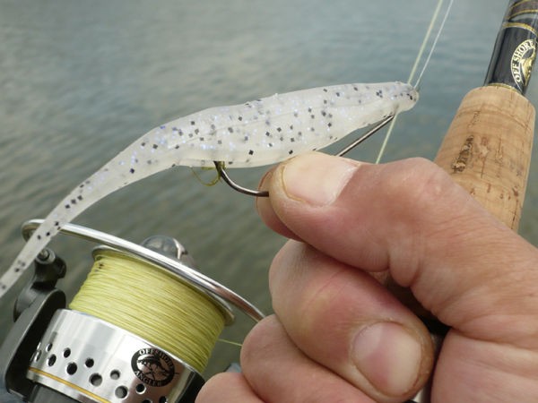 ZOOM SUPER FLUKE : THE DIE IS CAST.