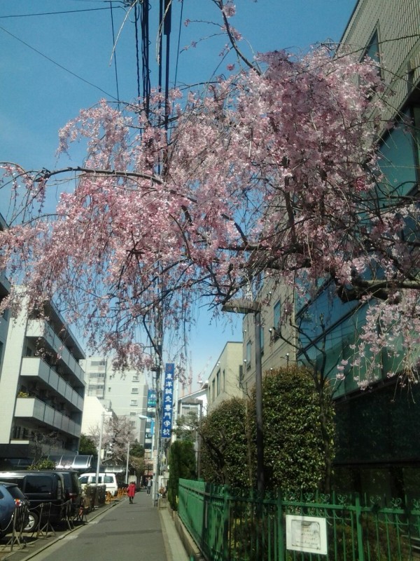 新大久保で狂喜乱舞 楽しい誕生日 の巻 Got7を愛でるblog
