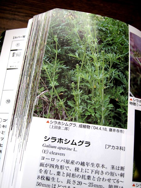 日本帰化植物写真図鑑 第2巻 全農教 購入速報 ご近所の日々