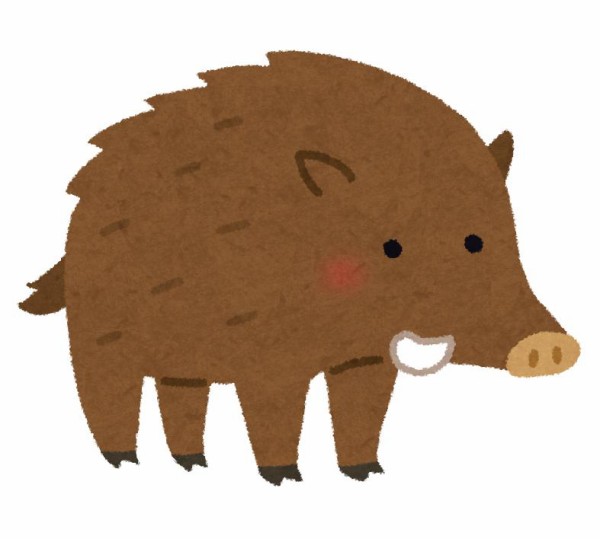 大濠 公園 イノシシ 大濠公園イノシシ画像で話題の須賀川理とはどんな人物 過去にもエモい写真が多数 Amp Petmd Com