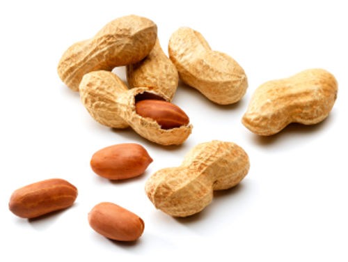 お尻にピーナッツいれたらとれなくなった ゴールデンタイムズ