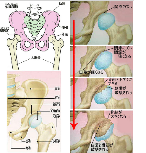 股関節を使わないゴルフが日本を強くする K1hスイング理論 入門