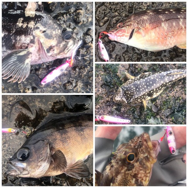 ロッド｜インプレ】19 月下美人 Air AGS 68L-T・R 〜 りんたこ