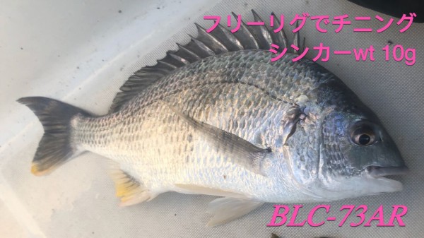 ロッド｜インプレ】（その2）18 BlueCurrent 73 All-range TZ/NANO