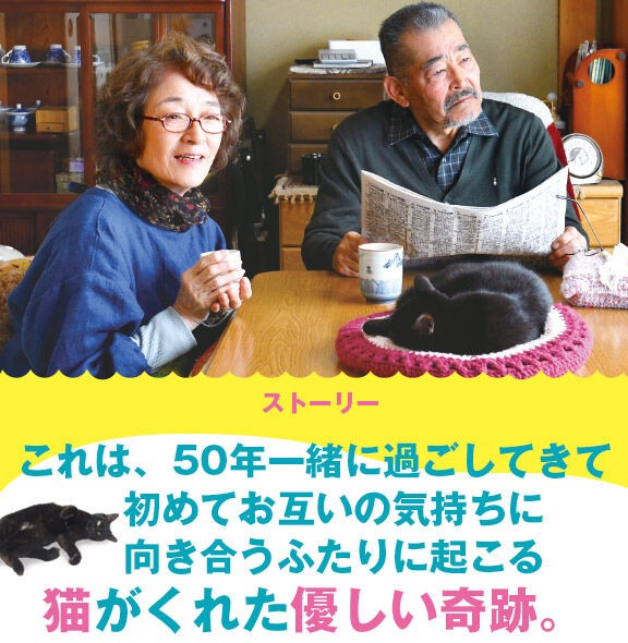 初恋 お父さん ﾁﾋﾞがいなくなりました 年間３００本以上 ゴンちゃんのおすすめ映画 感想日記