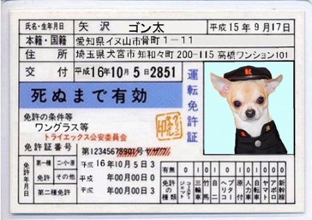 なめんなよ ゴンねね なめ犬になる の巻 Gonta Nene おもしろ日記