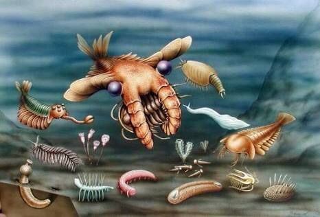 画像あり 5億年前に世界の覇権を握った最強の生物がヤバイｗｗｗｗｗｗｗｗｗｗｗｗｗｗｗｗｗｗｗｗｗ グッドルーザーズ