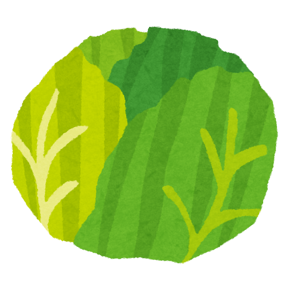 一人暮らしエアプ 野菜高すぎっしょｗ コスパ最悪 ごちそう速報