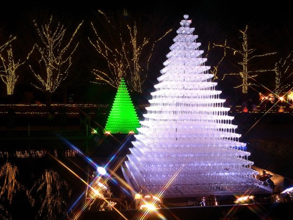 昭和記念公園 Winter Vista Illumination 2011 へ 後藤健太郎のブログ