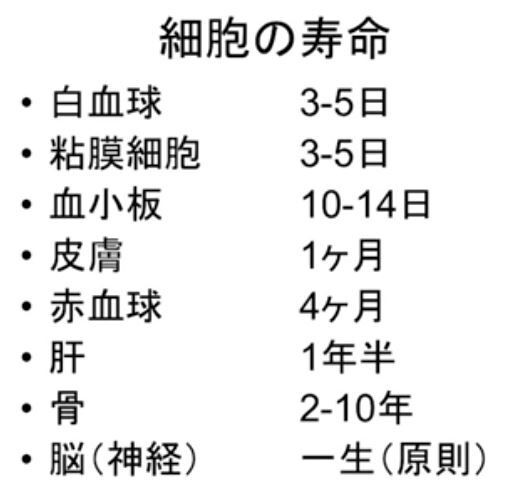 森由香子さん 細胞 ベンゾと向精神薬多剤処方でカモにして ジスキネジア アカシジア ジストニア 横紋筋融解症にして平気な嘘医学