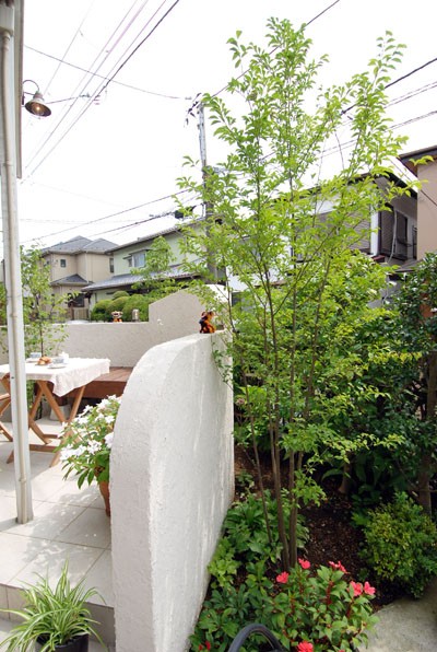 3本の庭木（ 一柳邸 10） : 横浜ガーデンデザイン！幸せな庭のレシピ