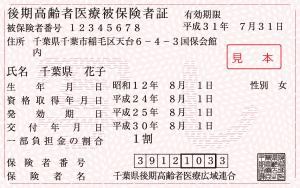簡易書留 郵便局受け取り 健康保険証 Raspberry Bush Ii