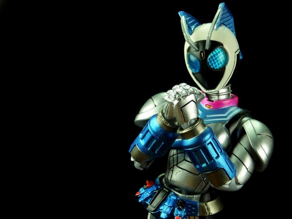 S.H.フィギュアーツ 仮面ライダーなでしこ レビュー : グレスケ